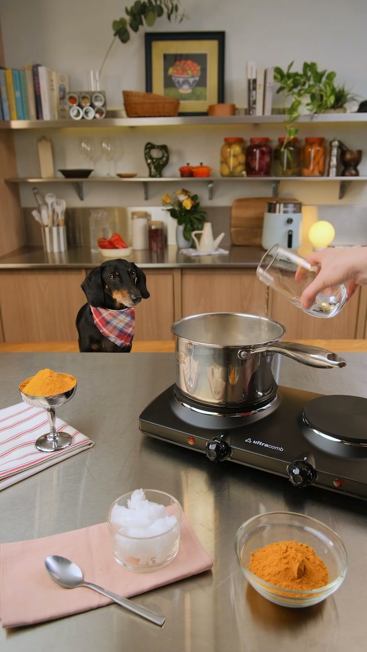Un perro con pañuelo observa una olla sobre un anafe Ultracomb